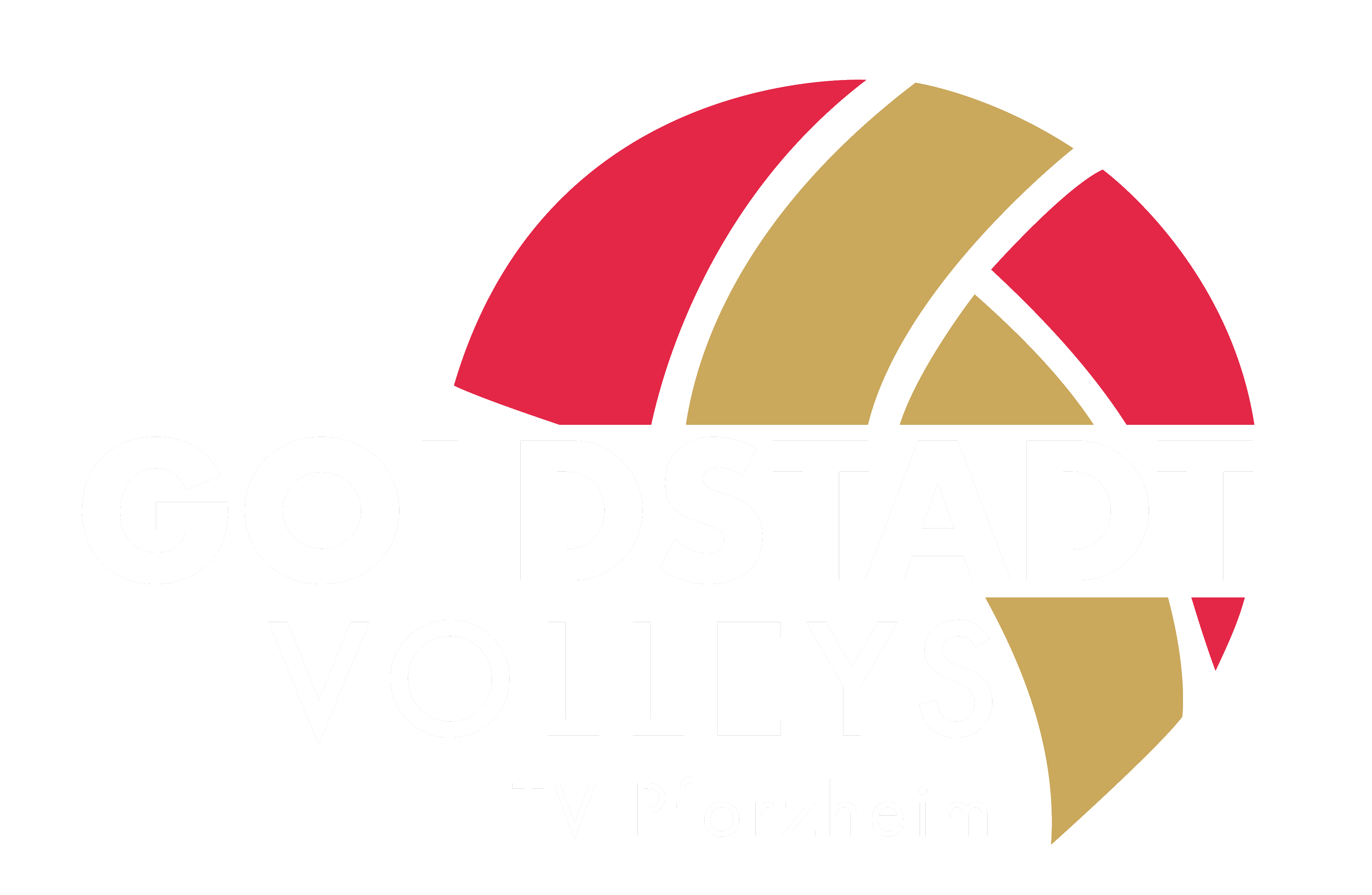 Goldstadt Volleys